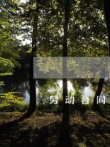 劳动合同法 合同法 劳动合同法 合同法